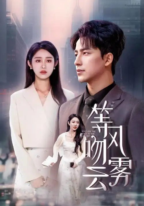 万家灯火时 都市情感电视剧全集